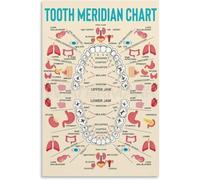 Holistic Dental Chart - Meridian Tooth Reference Guide for Oral Health(Unframed,08x12inch(20x30cm))