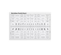 Holistic Health Poster: Meridian Tooth Chart Canvas Wall Art, Dental & Body Connection Reference for Clinic or Study Room(Unframed,12x18inch(30x45cm))
