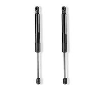HOLIV For Tesla For Model 3 1091560-00-B Left Or Right Tailgate Trunk Strut Damper Rear Trunk Lid Gas Strut Support Shock
