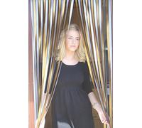 Holland Plastics Heavy Duty Bug Blind,Fly Blind,Strip Blind, Door Blind-' GOLD/SILVER' - (80cm-Standard UK door size)