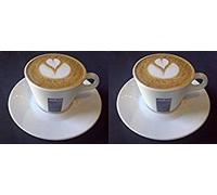 Holland Plastics Original Brand 2 X 5.5 oz Cappuccino Cups and Saucers