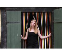 Holland Plastics Tube Type Door Curtain,Bug Blind,Fly Blind,Strip Blind-TRADITIONAL MULTI -80cm wide x 200cm drop