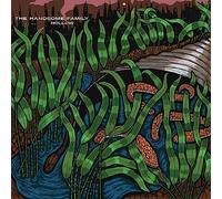 The Handsome Family – Hollow – 12" Vinyl Album