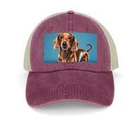 Hollow Baseball Cap Dachshund Weiner Pet Dog Classic Dad Hat Adjustable Cotton Baseball Hat Sport Visor Hat, Wine Red, One size