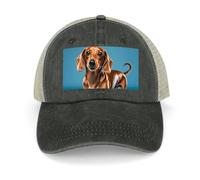 Hollow Baseball Cap Dachshund Weiner Pet Dog Classic Dad Hat Adjustable Cotton Baseball Hat Sport Visor Hat, Black, One size