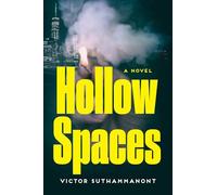 Hollow Spaces: A Novel