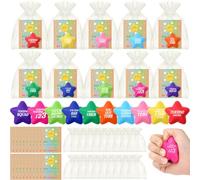 Hollowfly 30 Pack Motivation Gift for Students with Testing Motivational Stress Balls Encouragement Cards and Organza Gift Bags for Stress Relief Quote for Students Inspiration Standardized Test Day
