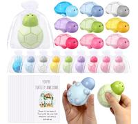 Hollowfly 9 Set Funny Stress Balls Bulk Relief Squeeze Balls Inspirational Stress Toy Employee Appreciation Gifts Back to School First Day of School Classroom Gifts for Student Teacher (Turtle)