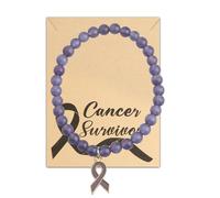 HOLLP Pancreatic Cancer Awareness Bead Bracelet Purple Ribbon Jewels Cancer Warrior Gift Epilepsy Awareness Jewels with card, M, Metal, stainless-steel
