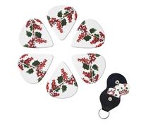 Holly Berry Branches Guitar Picks Set of 6 with Organizer Storage Box for Custom Guitars for Men and Women, Guitar Accessory, Ukulele for Acoustic Guitar and