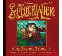 Holly Black Seeing Stone Paperback Book Holly Black Multicolor