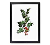 Holly Branch Berries by Pierre-Joseph Redoute Framed Print | A2 Black Framed Wall Art | Ready to Hang | Modern Nature Picture | Living Room Bedroom Lounge Office