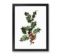 Holly Branch Berries By Pierre Joseph Redoute Vintage Framed Print | A2 Black Framed Wall Art | Ready to Hang | Classic Nature Picture | Living Room Bedroom Lounge Office