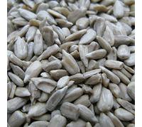 Hollybeck® Sunflower Hearts Wild Bird Food - 20KG Sack - FREE P & P INCLUDED (FOR UK only)