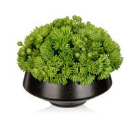 Hollyone 12CM Artificial Succulent Plants in Ceramic Pot, Small Fake Succulents for Home Decor, Decorative Faux Plant Indoor for Living Room, Shelf, Kitchen Table, Office, Bedroom, Bathroom Decoration