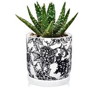 Hollyone 14CM Black Ceramic Plant Pot, Chinoiserie Planter with Saucer and Drainage Hole, Decorative Garden Pot with Crackle Glaze, Handmade Flower Pottery for Succulent, Cactus, Herb, House Plant