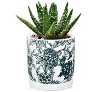 Hollyone 14CM Jade Green Ceramic Plant Pot, Chinoiserie Planter with Saucer and Drainage Hole, Decorative Garden Pot with Crackle Glaze, Handmade Flower Pottery for Succulent, Orchid, Cactus, Herb