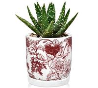 Hollyone 14CM Red Ceramic Plant Pot, Chinoiserie Planter with Saucer and Drainage Hole, Decorative Garden Pot with Crackle Glaze, Handmade Flower Pottery for Succulent, Orchid, Cactus, House Plant