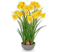 Hollyone 15.7'' Yellow Artificial Flowers, Fake Daffodils Decorative Faux Flowers in Pot, Silk Artificial Daffodil Flowers for Home Decor, Living Room, Bathroom, Windowsill, Table, Spring Decorations