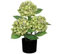 Hollyone 19" Hydrangea Artificial Flowers in Black Pot, 7.5" Large Fake Hydrangeas Green Silk Flowers, Decorative Potted Flowers for Home Decor, Living Room, Tabletop, Desk, Kitchen Decorations