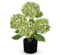 Hollyone 19" Hydrangea Artificial Flowers in Black Pot, 7.5" Large Fake Hydrangeas Green Silk Flowers, Decorative Potted Flowers for Home Decor, Living Room, Tabletop, Desk, Kitchen Decorations