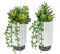 Hollyone 2 pcs Fake Succulent Plants Artificial Succulents in White Ceramic Pots, Faux Trailing Succulents for Room Home Bathroom Bedroom Office Kitchen Living Room Desk Decoration