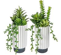 Hollyone 2 pcs Fake Succulent Plants Artificial Succulents in White Ceramic Pots, Faux Trailing Succulents for Room Home Bathroom Bedroom Office Kitchen Living Room Desk Decoration