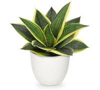 Hollyone 23CM Fake Snake Plans in White Pots, Yellow and Green Artificial Sansevierias, Realistic Faux Plants Decorative Greenery for Home Decor, Living Room, Bathroo, Kitchen Decorations