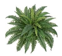 Hollyone 25.6'' Artificial Ferns for Outdoors, Fake Boston Fern Bouquet Large Faux Fern Bush Plant for Indoors, Home Decor, Windowsill, Garden Decorations, Farmhouse, Porch Arrangements (49 Fronds)