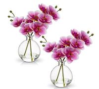 Hollyone 2pcs Artificial Pink Orchid Flower in Vase, Small Fake Orchid Plant with Glass Vase, Decorative Faux Phalaenopsis for Wedding, Centerpiece, Home Decor, Living Room, Bathroom Decorations