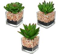 Hollyone 3 Pcs Small Artificial Succulent Plants in Pots, 5x11cm Fake Potted Plants for Home, Office, Table, Desk, Bedroom, Bathroom Decor