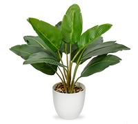Hollyone 37CM Tall Artificial Bird of Paradise Faux Plants Indoor Decorative Tropical Fake Plants Aesthetic Room Décor Plants for Bedroom Office Home Desk Decoration