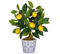 Hollyone 40CM Artificial Lemon Plant in Pot, Fake Potted Plant Decorative Faux Plants, Small Faux Lemon Tree for Bedroom, Living Room, Bathroom, Desk, Table, Kitchen, Home Decor