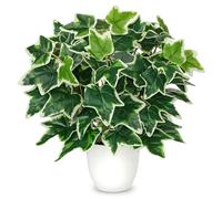 Hollyone 40CM Variegated Artificial Ivy in White Pot, 15.7'' Fake Plants for Home Decor, Realistic Faux Greenery for Living Room, Kitchen Table Centerpiece, Shelf, Windowsill Decorations