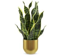 Hollyone 43CM Artificial Snake Plant in Gold Pot, Fake Potted Plant for Table, Yellow and Green Faux Sansevieria for Home Decor, Kitchen, Bathroom, Living Room, Shelf Decorations