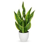Hollyone 45CM Artificial Snake Plant in White Pot, Fake Potted Plant for Table, Yellow and Green Faux Sansevieria for Home Decor, Kitchen, Bathroom, Living Room, Shelf Decorations