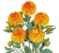 Hollyone Artificial Ball Dahlia Flowers, Set of 5 | 24.8" Tall Silk Dahlia Stems with 5 Buds, 4.7" Orange Fake Blooms Faux Flowers for Home Decor, Centerpiece, Wedding, Floral Arrangements