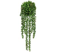 Hollyone Artificial Hanging Plants Decorative Succulents, Fake Potted Plants Faux Trailing Plant Greenery Indoor Outdoor for Home, Garden, Living Room, Bedroom, Kitchen, Wall Decorations