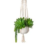 Hollyone Artificial Hanging Plants, Fake Potted Succulents with Cotton Ropes, Faux Trailing Plant Decorative Greenery Indoor Outdoor for Home Decor, Garden, Balcony, Living Room, Kitchen Decorations