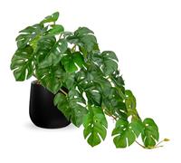 Hollyone Artificial Plants in Black Ceramic Pots, Fake Monstera Plant Decorative Faux Potted Plants, Realistic House Plant Indoor for Home Décor, Bathroom, Living Room, Kitchen, Shelf Decorations