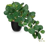 Hollyone Artificial Plants in Black Pots, Fake Peperomia Obtusifolia Decorative Faux Potted Plants, Realistic House Plant Indoor for Home, Bathroom, Living Room, Kitchen, Shelf, Office Decorations