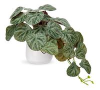 Hollyone Artificial Plants in Ceramic Pots, Fake Begonia Versicolor Decorative Faux Potted Plants, Realistic House Plant Indoor for Home Décor, Bathroom, Living Room, Kitchen, Shelf Decorations