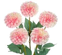 Hollyone Artificial Pompon Dahlia Flowers, Set of 5 | 24.8" Tall Silk Dahlia Stems with 4.7" Blooms, Soft Pink Fake Flowers for Home Decor, Centerpiece, Wedding, Living Room, Floral Arrangements