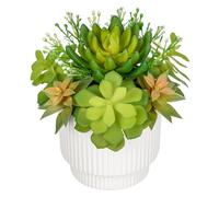 Hollyone Artificial Succulent Plants in Pot, Fake Assorted Succulents Indoor Decorative Plants in White Ceramic Pot for Home Decor, Office, Shelf, Desk, Living Room, Bathroom, WindowSill Decorations