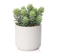 Hollyone Artificial Succulents in Ceramic Pot, 18CM Fake Flocking Plant Realistic Faux Plant, Decorative Greeneries for Home Decor, Living Room, Table, shelf, Bathroom, Office, Kitchen Decorations