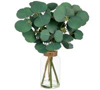 Hollyone Fake Real-Touch Eucalyptus in Glass Vase with Faux Water - Realistic Faux Greenery Decor, 13" Tall, Artificial Silver Dollar Eucalyptus Arrangement for Home, Kitchen, Bathroom, Office