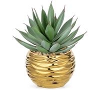 Hollyone Fake Succulents in Gold Ceramic Pot, 8.3'' Frosted Artificial Agave Shaka Zulu, Faux Plants Indoor Decorative Greenery for Home Decor, Office Desk, Windowsill, Bathroom, Shelf Decorations