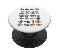 Hollywood Florida Colorful Fish Design PopSockets Adhesive PopGrip