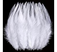 Holmgren 200pcs White Crafts Feathers - 5-7inch Rooster Feathers Bulk for DIY Earrings, Dream Catcher and Christmas Party Decorations (White)