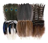 Holmgren 48pcs Natural Feathers Bulk - 6 Styles Assorted Peacock, Pheasant, Turkey Feathers for Craft DIY Jewelry Hat Wedding Home Party Decoration